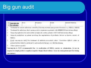 Big gun audit 
