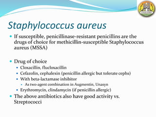 Staphylococcus aureus
 If susceptible, penicillinase-resistant penicillins are the
drugs of choice for methicillin-susceptible Staphylococcus
aureus (MSSA)
 Drug of choice
 Cloxacillin, flucloxacillin
 Cefazolin, cephalexin (penicillin allergic but tolerate cephs)
 With beta-lactamase inhibitor
 As two-agent combination in Augmentin, Unasyn
 Erythromycin, clindamycin (if penicillin allergic)
 The above antibiotics also have good activity vs.
Streptococci
 