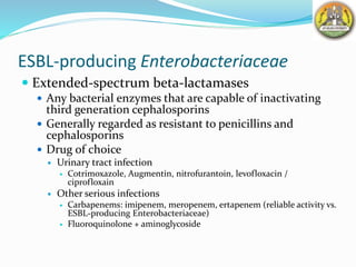 ESBL-producing Enterobacteriaceae
 Extended-spectrum beta-lactamases
 Any bacterial enzymes that are capable of inactivating
third generation cephalosporins
 Generally regarded as resistant to penicillins and
cephalosporins
 Drug of choice
 Urinary tract infection
 Cotrimoxazole, Augmentin, nitrofurantoin, levofloxacin /
ciprofloxain
 Other serious infections
 Carbapenems: imipenem, meropenem, ertapenem (reliable activity vs.
ESBL-producing Enterobacteriaceae)
 Fluoroquinolone + aminoglycoside
 