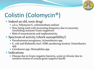 Colistin (Colomycin®)
 Indeed an old, toxic drug!
 a.k.a. Polymyxin E, colistimethate sodium
 Now being used with increasing frequency due to necessity
(multidrug resistant Gram-negatives)
 Risk of neurotoxicity and nephrotoxicity
 Spectrum of activity (check susceptibility!)
 Pseudomonas aeruginosa, Acinetobacter spp.
 E. coli and Klebsiella (incl. ESBL-producing strains), Enterobacter
spp.
 Citrobacter spp, Hemophilus spp.
 Indications
 Disease due to Gram-negative bacteria, acute or chronic due to
sensitive strains of certain gram-negative bacilli
 
