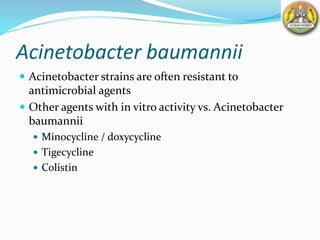 Acinetobacter baumannii
 Acinetobacter strains are often resistant to
antimicrobial agents
 Other agents with in vitro activity vs. Acinetobacter
baumannii
 Minocycline / doxycycline
 Tigecycline
 Colistin
 