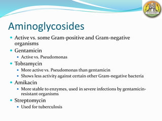 Aminoglycosides
 Active vs. some Gram-positive and Gram-negative
organisms
 Gentamicin
 Active vs. Pseudomonas
 Tobramycin
 More active vs. Pseudomonas than gentamicin
 Shows less activity against certain other Gram-negative bacteria
 Amikacin
 More stable to enzymes, used in severe infections by gentamicin-
resistant organisms
 Streptomycin
 Used for tuberculosis
 