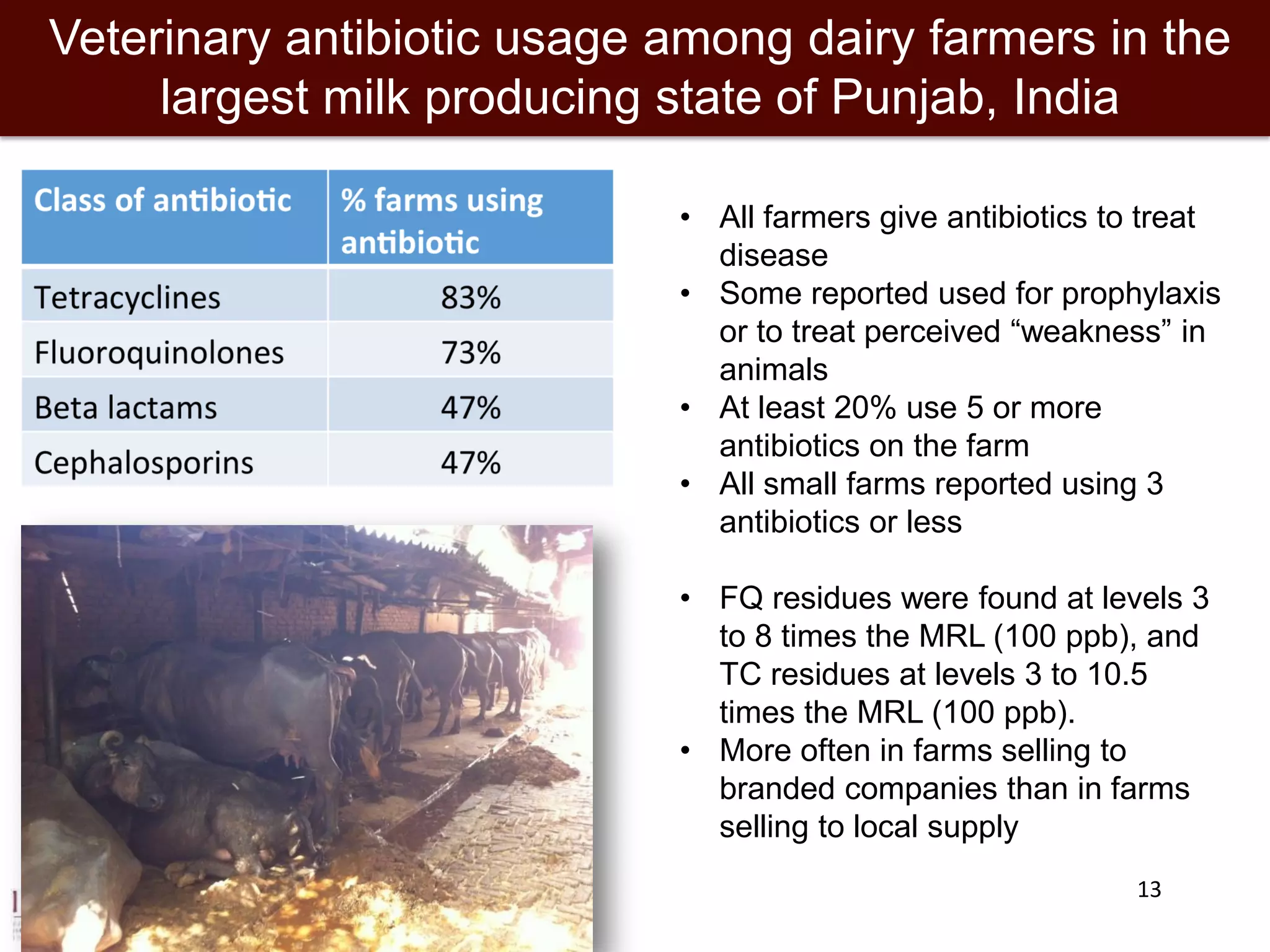 13
Veterinary antibiotic usage among dairy farmers in the
largest milk producing state of Punjab, India
• All farmers give antibiotics to treat
disease
• Some reported used for prophylaxis
or to treat perceived “weakness” in
animals
• At least 20% use 5 or more
antibiotics on the farm
• All small farms reported using 3
antibiotics or less
• FQ residues were found at levels 3
to 8 times the MRL (100 ppb), and
TC residues at levels 3 to 10.5
times the MRL (100 ppb).
• More often in farms selling to
branded companies than in farms
selling to local supply
 