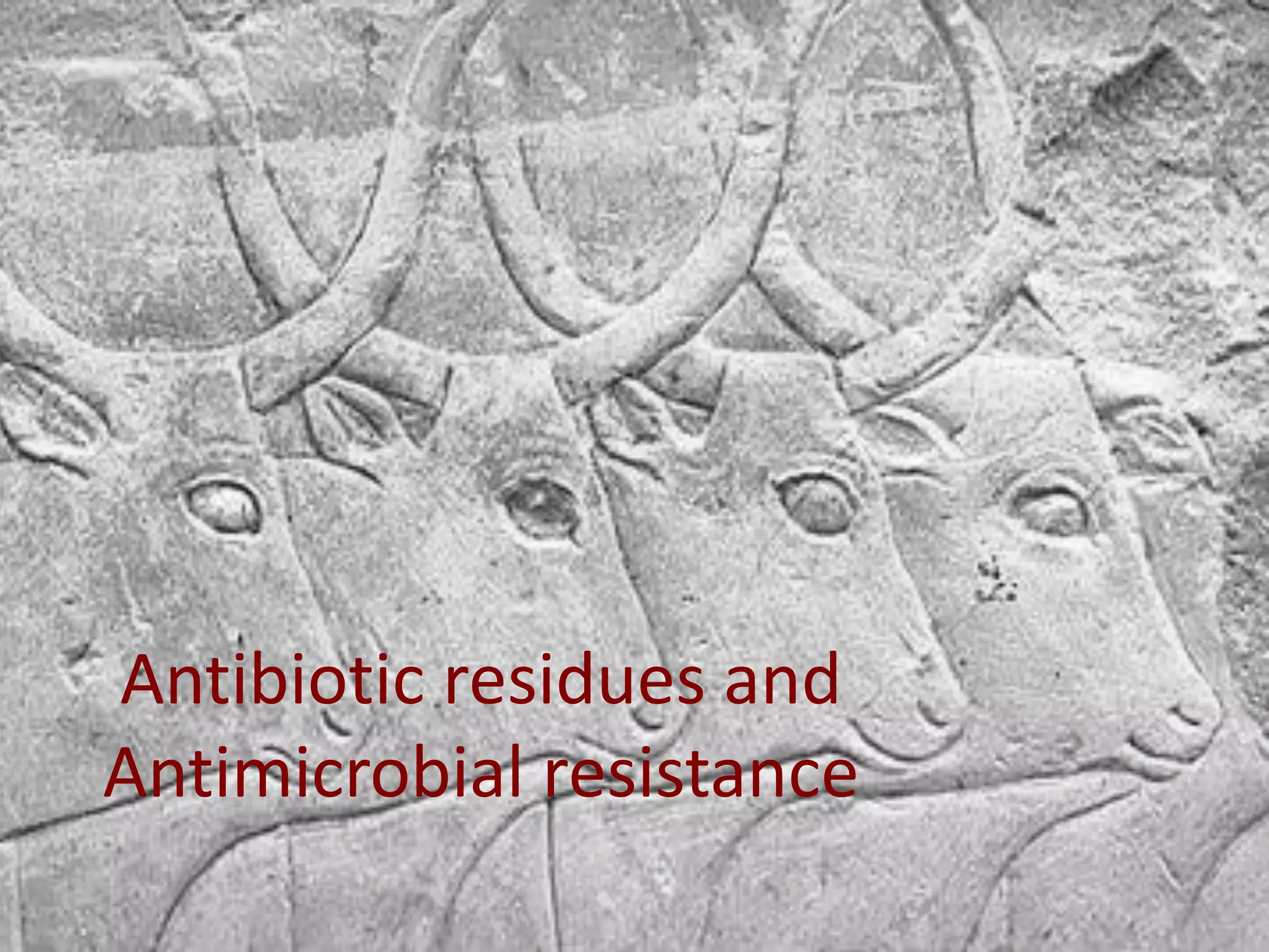 Antibiotic residues and
Antimicrobial resistance
 