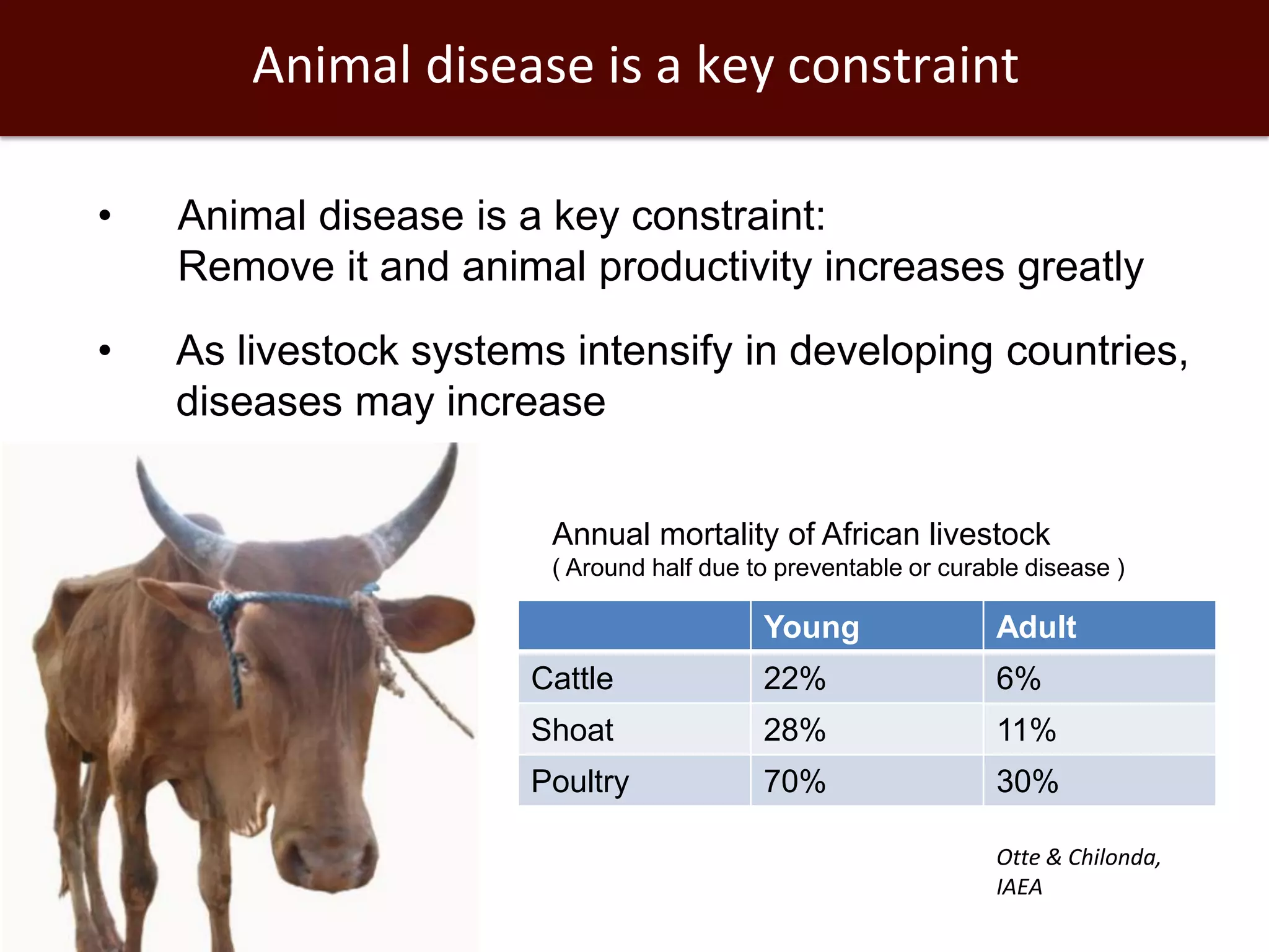 • Animal disease is a key constraint:
Remove it and animal productivity increases greatly
• As livestock systems intensify in developing countries,
diseases may increase
Young Adult
Cattle 22% 6%
Shoat 28% 11%
Poultry 70% 30%
Otte & Chilonda,
IAEA
Annual mortality of African livestock
( Around half due to preventable or curable disease )
Animal disease is a key constraint
 