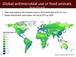 Global antimicrobial use in food animals
(mg per 10km pixel)
Source: Van Boeckel et al. 2015
• Total consumption in the livestock sector in 2010 estimated at 63,151 tons
• Global antimicrobial consumption will rise by 67% by 2030
 