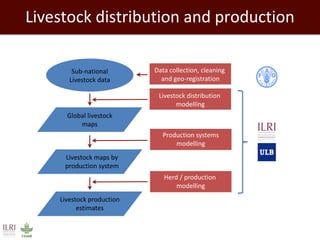 Antimicrobial use in developing countries