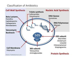 Antibiotic use in surgery | PPTX