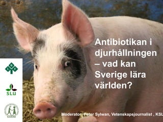 siani.se
Antibiotikan i
djurhållningen
– vad kan
Sverige lära
världen?
Moderator: Peter Sylwan, Vetenskapsjournalist , KSL
 
