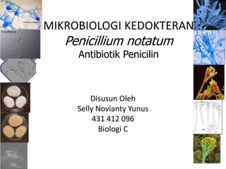 MIKROBIOLOGI KEDOKTERAN
Penicillium notatum
Antibiotik Penicilin
Disusun Oleh
Selly Novianty Yunus
431 412 096
Biologi C
 