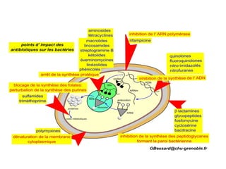 21/03/16Dr Didouh Mostafa pharmaco IP 201112
II - DEFINITION
• Site d’action:
 