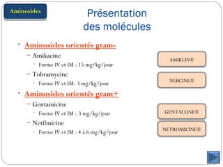 Présentation
des molécules
• Aminosides orientés gram-
– Amikacine
• Forme IV et IM : 15 mg/kg/jour
– Tobramycine
• Forme IV et IM: 3 mg/kg/jour
• Aminosides orientés gram+
– Gentamicine
• Forme IV et IM : 3 mg/kg/jour
– Netilmicine
• Forme IV et IM : 4 à 6 mg/kg/jour
AMIKLIN®
NEBCINE®
GENTALLINE®
NETROMICINE®
 