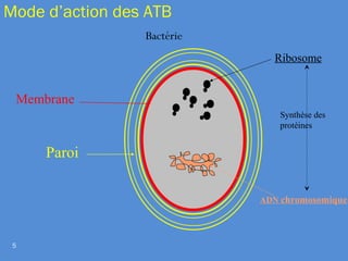 Mode d’action des ATB
5
Bactérie
Membrane
Paroi
Ribosome
ADN chromosomique
Synthèse des
protéines
 