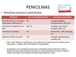 PENICILINAS
• Penicilinas sensíveis à penicilinase:
           FÁRMACO                 VIAS DE ADMINISTRAÇÃO        ALGUMAS INDICAÇÕES
 Benzilpenicilina ou Penicilina   IM                         Faringoamigdalite
 G benzatina (Benzetacil®)                                   estreptocócica, sífilis, etc.
 Penicilina G cristalina (K+ ou   IM e IV                    Erisipela, pneumonia,
 Na+)                                                        faringite, sífilis, etc.
 Penicilina G procaína            IM                         Pneumonia , sífilis, faringite,
                                                             etc.
 Penicilina V (Pen-ve-oral®)      VO                         Faringite estreptocócica,
                                                             erispela, etc.
    – Obs.: Sais sódicos ou potássicos são usados com a penicilina G cristalina para
      neutralizar a acidez; eles não alteram a função dela.

    – A procaína é um anestésico local, mas o indivíduo ainda sente dor. A dor é
      provocada pela ação irritante do fármaco e pela distensão muscular. Pode-se
      colocar um pouco de lidocaína também para diminuir a dor.
 