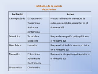 Antibiótico                                      Acción
Aminoglucósido Estreptomicina     Provoca la liberación prematura de
                 Trobamicina      cadenas de péptidos aberrantes en el
                 Amikacina        ribosoma 30S
                 gentamicina
Tetraciclina     Tetraciclina     Bloquea la elongación polipeptídica en
                 Dixociclina      el ribosoma 30S
Oxazolidona      Linezolida       Bloquea el inicio de la síntesis proteica
                                  en el ribosoma 50S
Macrólidos       Eritromicina     Bloquean la elongación polipeptídica en
                 Acitromicina     el ribosoma 50S
                 Claritromicina
Lincosamidas     Clindamicina
 