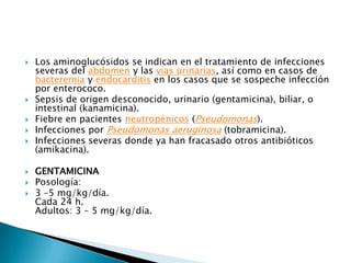    Los aminoglucósidos se indican en el tratamiento de infecciones
    severas del abdomen y las vías urinarias, así como en casos de
    bacteremia y endocarditis en los casos que se sospeche infección
    por enterococo.
   Sepsis de origen desconocido, urinario (gentamicina), biliar, o
    intestinal (kanamicina).
   Fiebre en pacientes neutropénicos (Pseudomonas).
   Infecciones por Pseudomonas aeruginosa (tobramicina).
   Infecciones severas donde ya han fracasado otros antibióticos
    (amikacina).

   GENTAMICINA
   Posología:
   3 –5 mg/kg/día.
    Cada 24 h.
    Adultos: 3 – 5 mg/kg/día.
 
