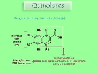 Quinolonas
Relação Estrutura Química e Atividade
 