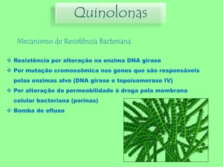 Mecanismo de Resistência Bacteriana
Quinolonas
 Resistência por alteração na enzima DNA girase
 Por mutação cromossômica nos genes que são responsáveis
pelas enzimas alvo (DNA girase e topoisomerase IV)
 Por alteração da permeabilidade à droga pela membrana
celular bacteriana (porinas)
 Bomba de efluxo
 