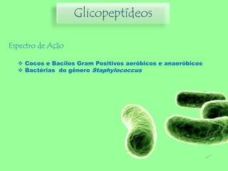 Glicopeptídeos
Espectro de Ação
 Cocos e Bacilos Gram Positivos aeróbicos e anaeróbicos
 Bactérias do gênero Staphylococcus
 