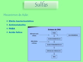 Sulfas
Mecanismos de Ação
 Efeito bacteriostático
 Antimetabolito
 PABA
 Acido folico
 