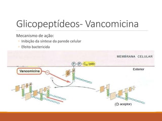 Glicopeptídeos- Vancomicina
Mecanismo de ação:
◦ Inibição da síntese da parede celular
◦ Efeito bactericida
 