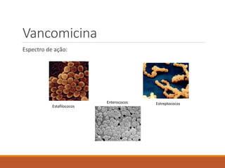 Vancomicina
Espectro de ação:
Estafilococos
EstreptococosEnterococos
 