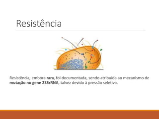 Resistência
Resistência, embora rara, foi documentada, sendo atribuída ao mecanismo de
mutação no gene 23SrRNA, talvez devido à pressão seletiva.
 