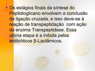 • Os estágios finais da síntese do
Peptidioglicano envolvem a conclusão
da ligação cruzada, e isso deve-se à
reação de transpeptidação com ação
da enzima Transpeptidase. Essa
ultima etapa é a inibida pelos
antibióticos β-Lactâmicos.
 