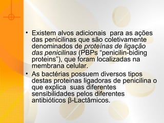 • Existem alvos adicionais para as ações
das penicilinas que são coletivamente
denominados de proteínas de ligação
das penicilinas (PBPs “penicilin-biding
proteins”), que foram localizadas na
membrana celular.
• As bactérias possuem diversos tipos
destas proteinas ligadoras de penicilina o
que explica suas diferentes
sensibilidades pelos diferentes
antibióticos β-Lactâmicos.
 