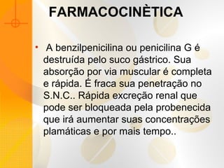 FARMACOCINÈTICA
• A benzilpenicilina ou penicilina G é
destruída pelo suco gástrico. Sua
absorção por via muscular é completa
e rápida. É fraca sua penetração no
S.N.C.. Rápida excreção renal que
pode ser bloqueada pela probenecida
que irá aumentar suas concentrações
plamáticas e por mais tempo..
 
