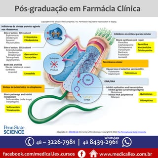 48 – 3226-7981 | 48 8439-2961
facebook.com/medical.lex.cursos www.medicallex.com.br
WhatsApp
Pós-graduação em Farmácia Clínica
Inibidores da síntese proteica agindo
nos ribossomas
Eritromicina
Clindomicina
Gentamicina
Tetraciclina
Linezolida
Inibidores da síntese parede celular
Penicilina
Vancomicina
Cefalosporina
Membrana celular
Polimixinas
DNA/RNA
Quinolonas
Rifampicina
Síntese de ácido fólico no citoplasma
Sulfonamida
Trimetoprim
Adaptado de : MICRB 106 Elementary Microbiology. Copyright © 2016 The Pennsylvania State University.