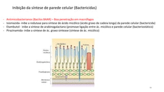 11
Inibição da síntese de parede celular (Bactericidas)
- Antimicobacterianos (Bacilos BAAR) – Boa penetração em macrófagos
- Isioniazida- inibe a redutase para síntese de ácido micólico (ácido graxo de cadeia longa) da parede celular (bactericida)
- Etambutol- inibe a síntese de arabinogalactano (promove ligação entre ác. micólico e parede celular (bacteriostático)
- Pirazinamida- inibe a síntese de ác. graxo sintease (síntese de ác. micólico)
 
