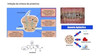 Inibição da síntese de proteínas
 