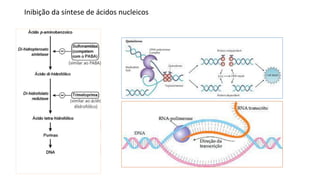 Inibição da síntese de ácidos nucleicos
 