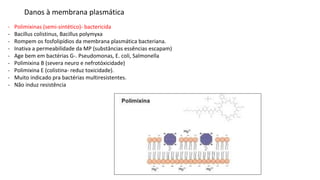 Danos à membrana plasmática
- Polimixinas (semi-sintético)- bactericida
- Bacillus colistinus, Bacillus polymyxa
- Rompem os fosfolipídios da membrana plasmática bacteriana.
- Inativa a permeabilidade da MP (substâncias essências escapam)
- Age bem em bactérias G-. Pseudomonas, E. coli, Salmonella
- Polimixina B (severa neuro e nefrotóxicidade)
- Polimixina E (colistina- reduz toxicidade).
- Muito indicado pra bactérias multiresistentes.
- Não induz resistência
 