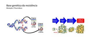 Base genética da resistência
Mutação / Plasmídeos
 