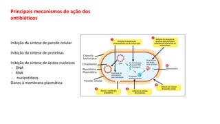 Principais mecanismos de ação dos
antibióticos
Inibição da síntese de parede celular
Inibição da síntese de proteínas
Inibição da síntese de ácidos nucleicos
- DNA
- RNA
- nucleotídeos
Danos à membrana plasmática
 