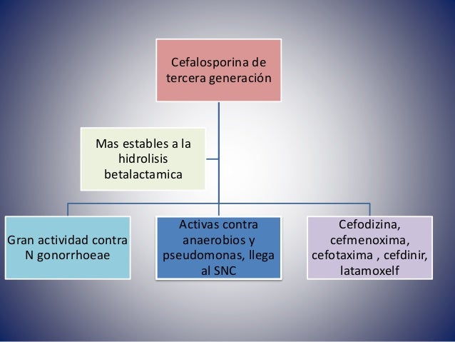 Antibióticos betalactamicos cefalosporinas Antibióticos betalactamicos cefalosporinas