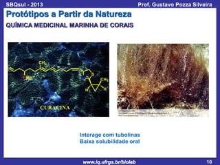 SBQsul - 2013

Prof. Gustavo Pozza Silveira

Protótipos a Partir da Natureza
QUÍMICA MEDICINAL MARINHA DE CORAIS

CH3
OMe

S

N

CH3
H

H

CURACINA

Interage com tubolinas
Baixa solubilidade oral

www.iq.ufrgs.br/biolab

10

 