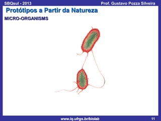 SBQsul - 2013

Prof. Gustavo Pozza Silveira

Protótipos a Partir da Natureza
MICRO-ORGANISMS

www.iq.ufrgs.br/biolab

11

 