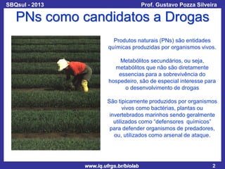 SBQsul - 2013

Prof. Gustavo Pozza Silveira

PNs como candidatos a Drogas
Produtos naturais (PNs) são entidades
químicas produzidas por organismos vivos.

Metabólitos secundários, ou seja,
metabólitos que não são diretamente
essencias para a sobrevivência do
hospedeiro, são de especial interesse para
o desenvolvimento de drogas
São tipicamente produzidos por organismos
vivos como bactérias, plantas ou
invertebrados marinhos sendo geralmente
utilizados como “defensores químicos”
para defender organismos de predadores,
ou, utilizados como arsenal de ataque.

www.iq.ufrgs.br/biolab

2

 