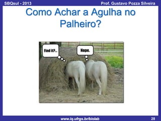 SBQsul - 2013

Prof. Gustavo Pozza Silveira

Como Achar a Agulha no
Palheiro?

www.iq.ufrgs.br/biolab

28

 