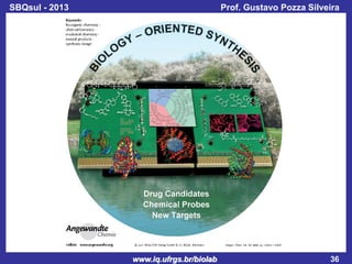 SBQsul - 2013

Prof. Gustavo Pozza Silveira

www.iq.ufrgs.br/biolab

36

 