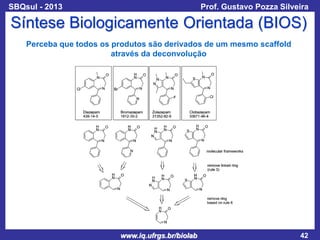 SBQsul - 2013

Prof. Gustavo Pozza Silveira

Síntese Biologicamente Orientada (BIOS)
Perceba que todos os produtos são derivados de um mesmo scaffold
através da deconvolução

www.iq.ufrgs.br/biolab

42

 