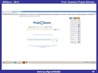 SBQsul - 2013

Prof. Gustavo Pozza Silveira

www.iq.ufrgs.br/biolab

49

 