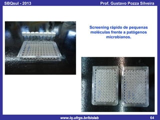 SBQsul - 2013

Prof. Gustavo Pozza Silveira

Screening rápido de pequenas
moléculas frente a patógenos
microbianos.

www.iq.ufrgs.br/biolab

64

 