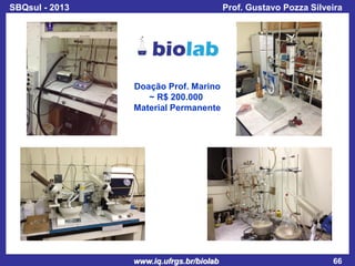 SBQsul - 2013

Prof. Gustavo Pozza Silveira

Doação Prof. Marino
~ R$ 200.000
Material Permanente

www.iq.ufrgs.br/biolab

66

 
