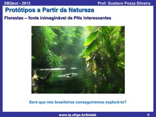 SBQsul - 2013

Prof. Gustavo Pozza Silveira

Protótipos a Partir da Natureza
Florestas – fonte inimaginável de PNs interessantes

Será que nós brasileiros conseguiremos explorá-la?
www.iq.ufrgs.br/biolab

9

 
