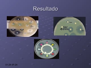 Resultado

01:24 01:24

 