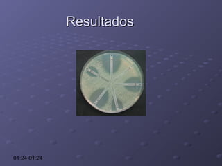 Resultados

01:24 01:24

 